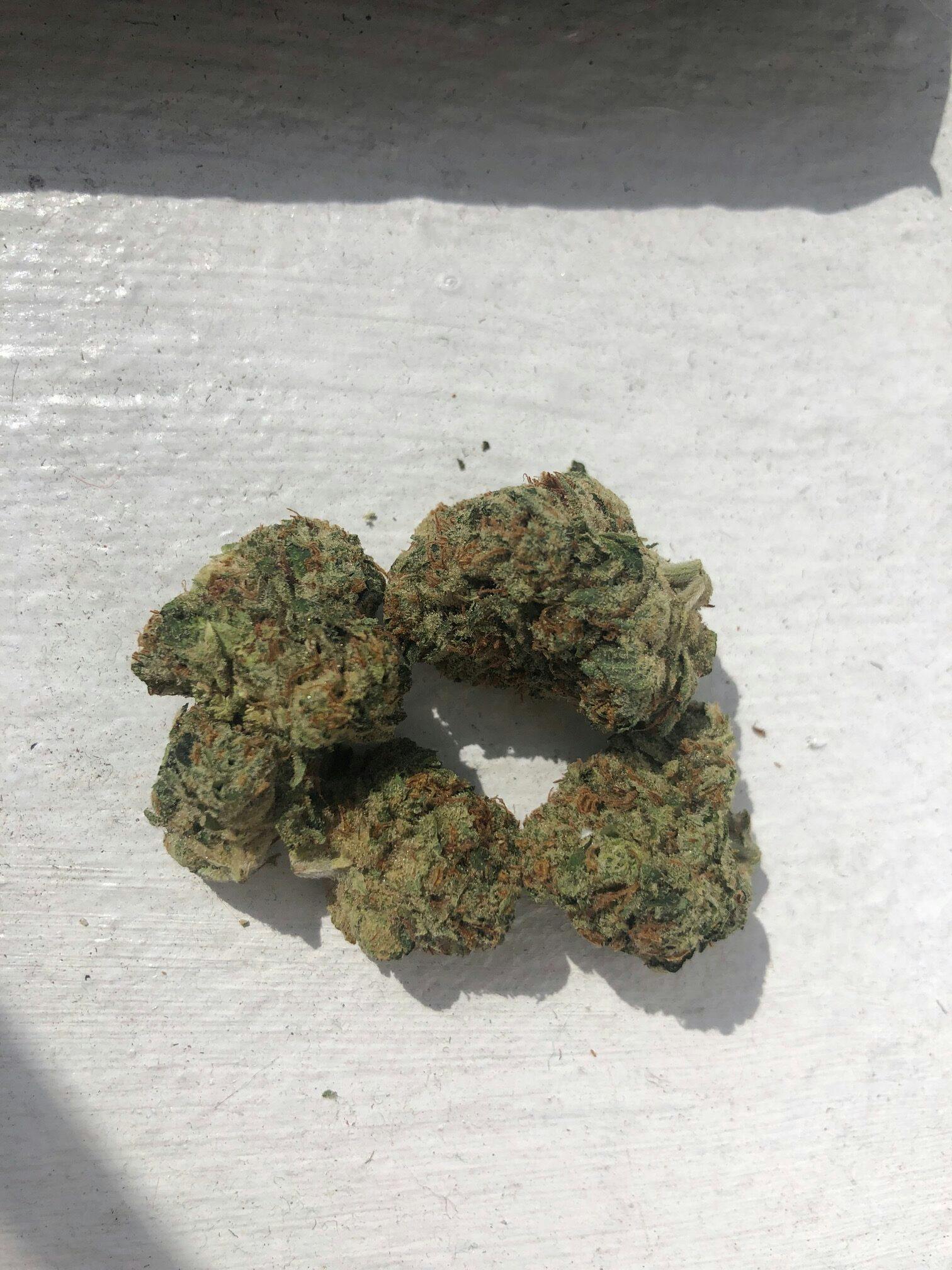 Snoop Dogg OG—SunMed Growers, Maryland, summer 2023 image