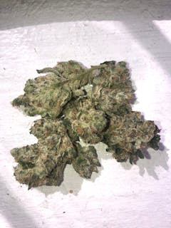 a small handful of forest green nugs resting on a white surface