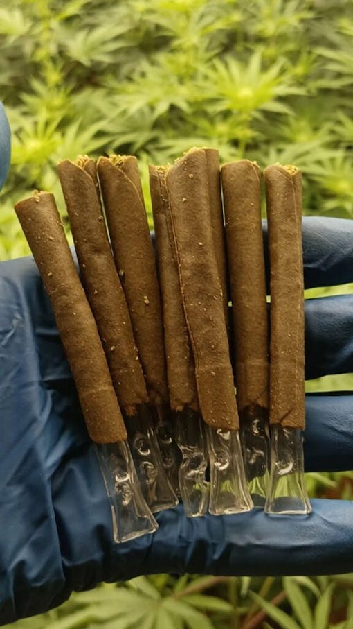 (Courtesy Resinwraps)