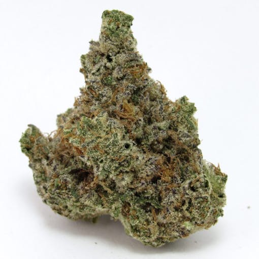 Peach Ringz in fine flower form. (David Downs/Leafly)