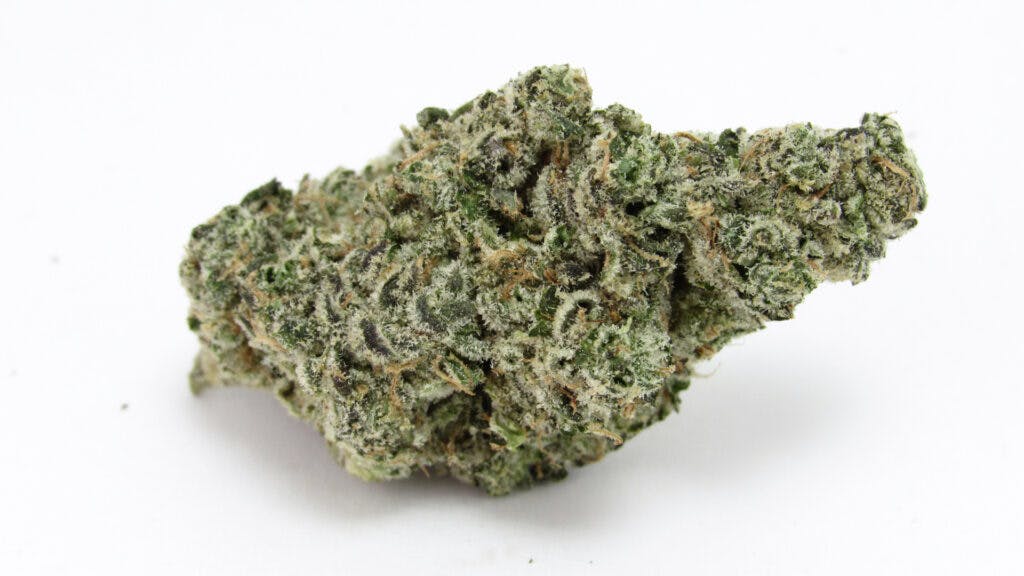 Purple Candy by CAM. (David Downs/Leafly)