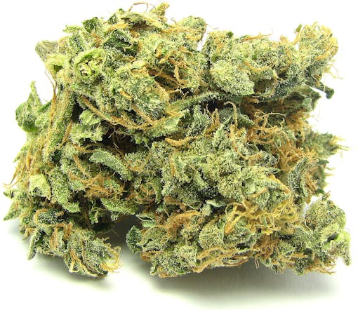 Ripped Bubba circa 2013. (David Downs file photo)