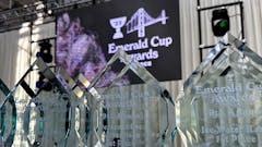 close up shot of glass engraved awards shaped like teardrops with pointed tops