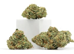 Leafly’s top CBD strains—Summer 2023 image