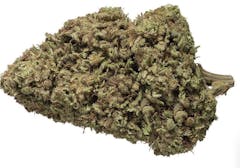 close up photo of forest green arrowhead-shaped marijuana leaf