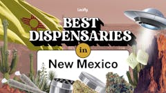 original collage art with text "Leafly Best Dispensaries in New Mexico" in center, with superimposed images of a UFO, the yellow state flag, cacti and several marijuana products around it