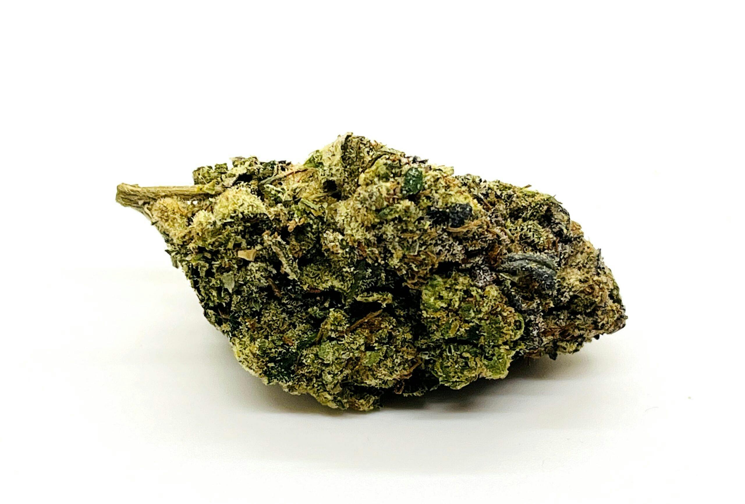 Neverland—Funk Farm, Montana, summer 2023 image