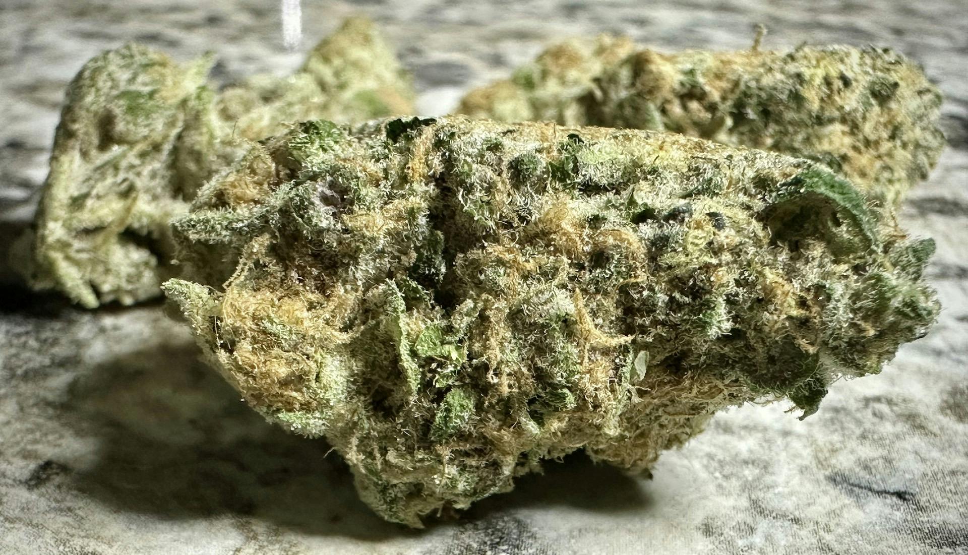 Tourist tips for a weed-filled weekend in Boston image