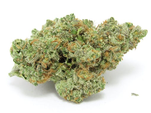 Lambs Bread from UpNorth. Sativa. (David Downs/Leafly)