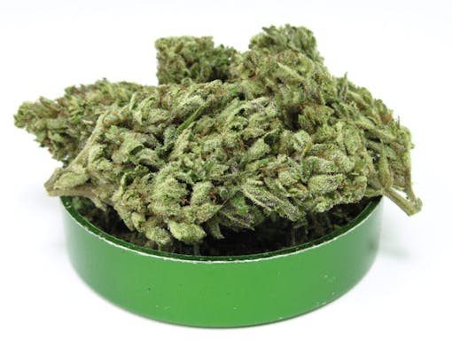 Sherbert Haze by Moon Made Farms. Hybrid. (David Downs/Leafly)