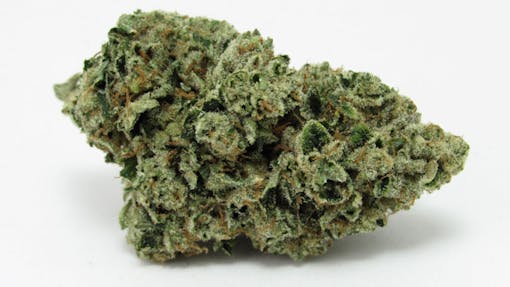 Headband from UpNorth. Sativa hybrid. (David Downs/Leafly)