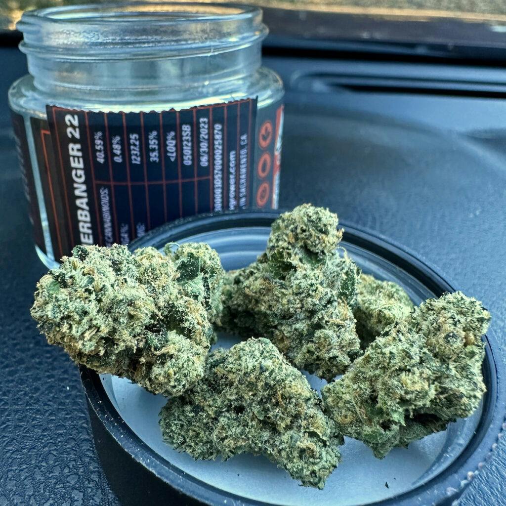 Sherbanger 22 of 530. Hybrid. (David Downs/Leafly)