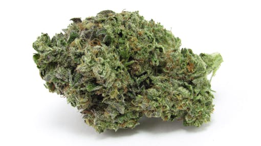 Cartel Cut from So Hum Royal. Indica hybrid.(David Downs/Leafly)