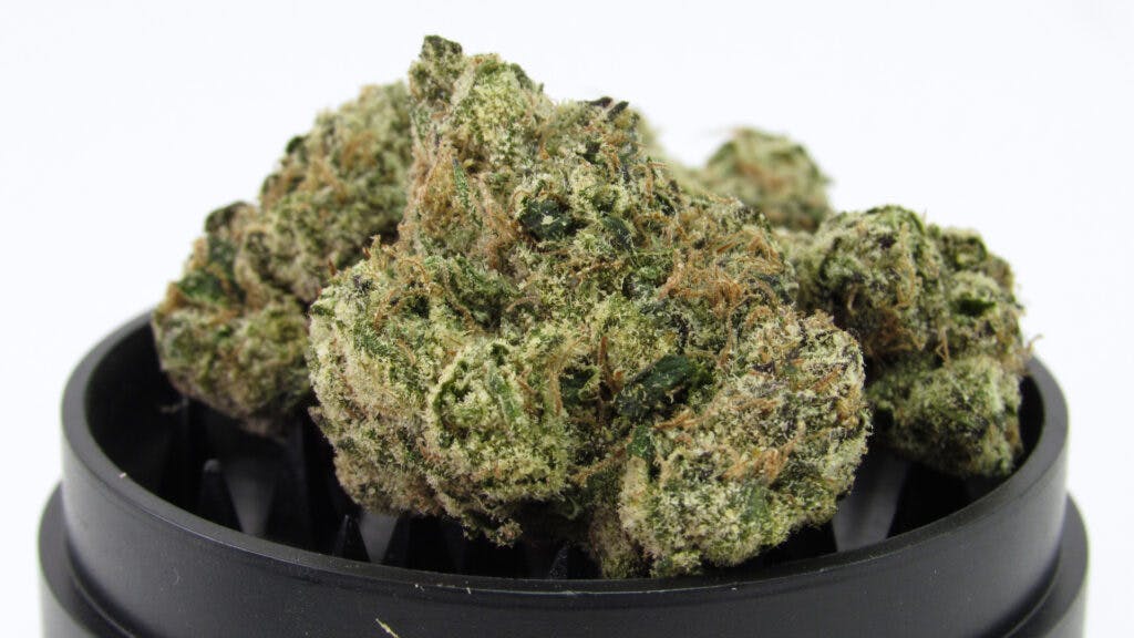 Sake Bomb from Bombatta brand. Hybrid. (David Downs/Leafly)