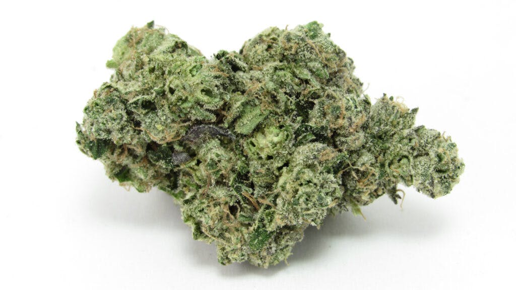 Moonbow #99 bred by Archive Portland. Indica hybrid. (David Downs/Leafly)