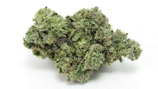 Moonbow #99 grown by Archive Portland. Indica hybrid. (David Downs/Leafly)