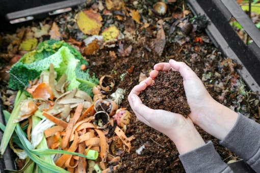 Living soil starts with compost. (Shutterstock)