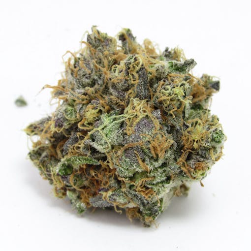 Seven Leaves-grown Grease Monkey. (David Downs/Leafly)