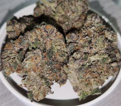 a few large nugs in shades of deep purple and green resting in an overturned white jar lid