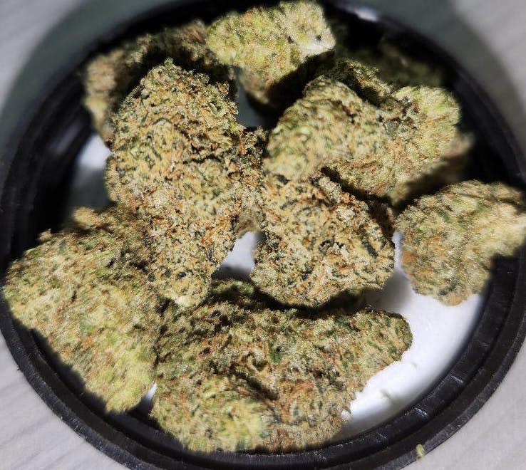 Head Cheese—Polaris, NV, summer/fall 2023 image