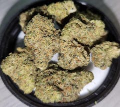 a handful of dense light green nugs shot through with orange hairs and brief splashes of purple resting in an overturned jar lid