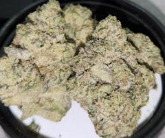 a handful of light green and mottled purple nugs resting in an overturned jar lid