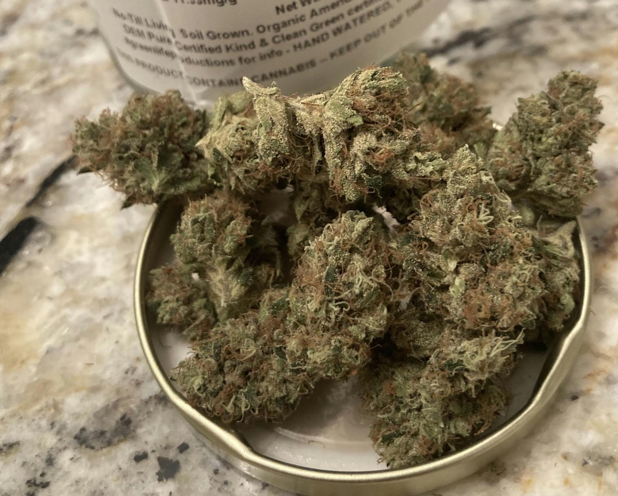 Hazmat OG—Green Life Productions, NV, summer/fall 2023 image