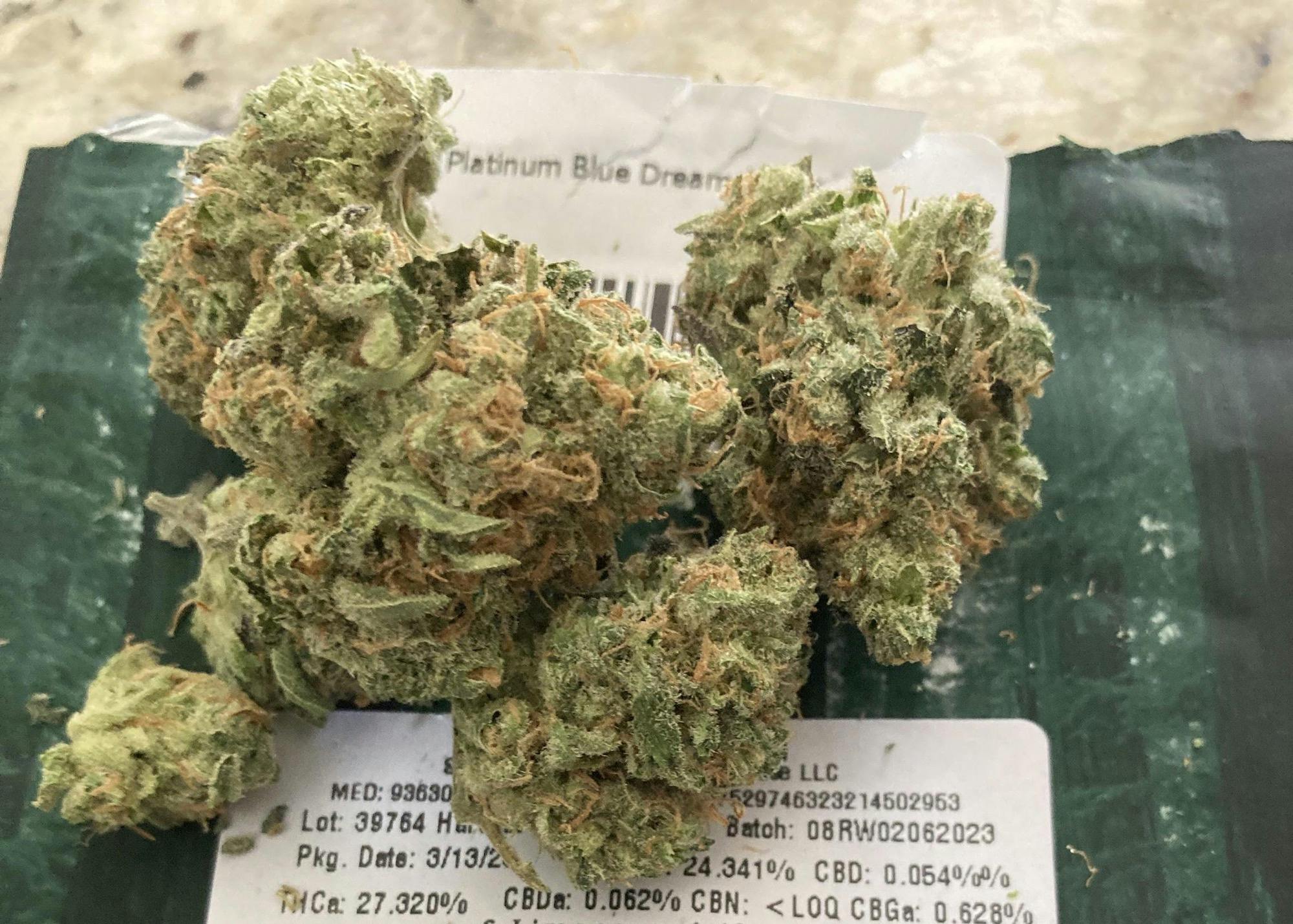 Platinum Blue Dream—Redwood, NV, summer/fall 2023 image