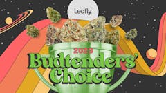 original Leafly collage featuring the text "2023 Budtenders' Choice" in green font superimposed over a gren-gold cup overflowing with cannabis nugs, against a backdrop of stars and an illustrated curvy rainbow in shades of red and yellow