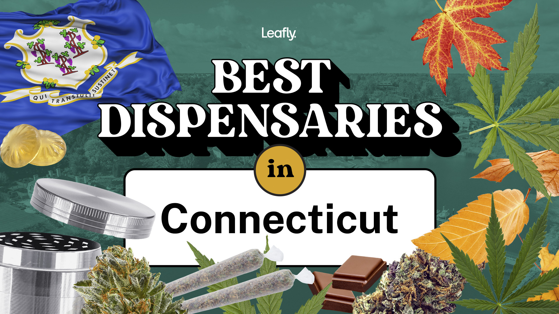 https://leafly-cms-production.imgix.net/wp-content/uploads/2023/09/19071306/BestDispensaries-Connecticut-1920x1080-1.jpg