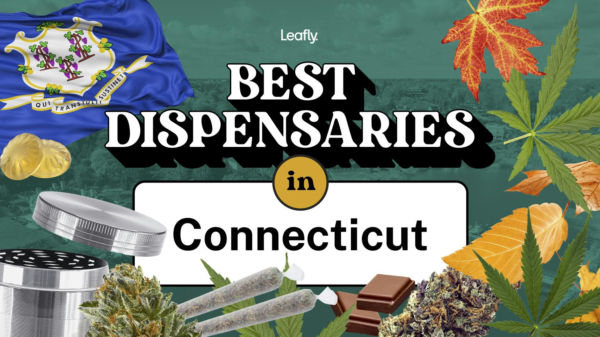 Best Rated Dispensaries in Connecticut 2024 image