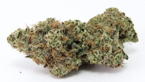 a long olive and light green marijuana nug on its side with another behind it, against a white background