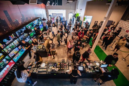 shoppers in Dr. Greenthumb's seen from above