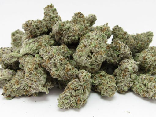 Devil Driver grown by CAM in Cali. (David Downs/Leafly)