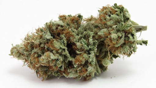 “I love Motorbreath for its ability to make my anxiety and stress completely disappear,” says Snowtill, a Bay Area indoor soil grower who is launching for adult use in January.