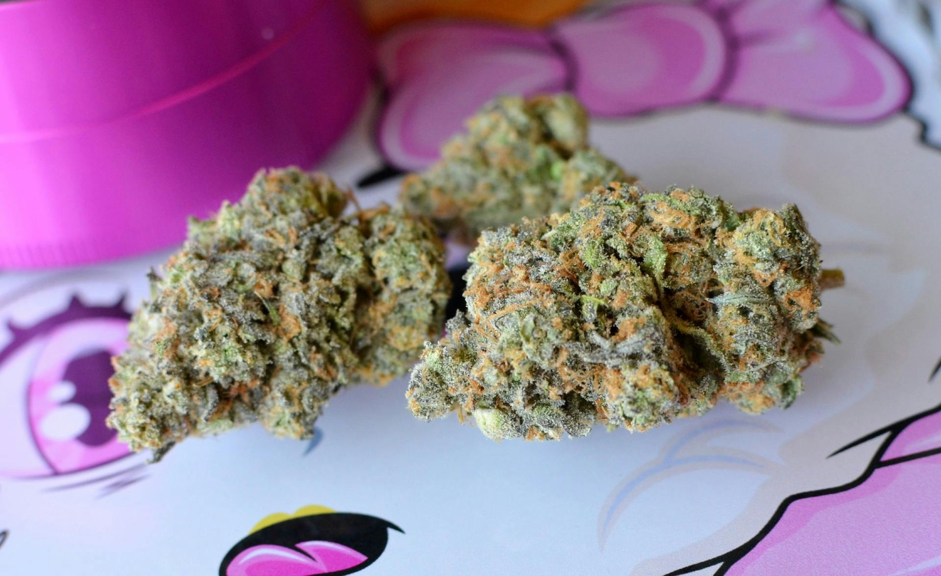 Pink Zushi—The TenCo, CA, summer 2023 image