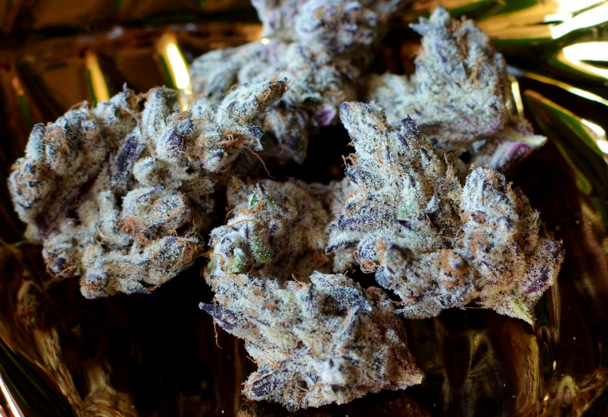 French Laundry—Maven CA, summer 2023 Leafly