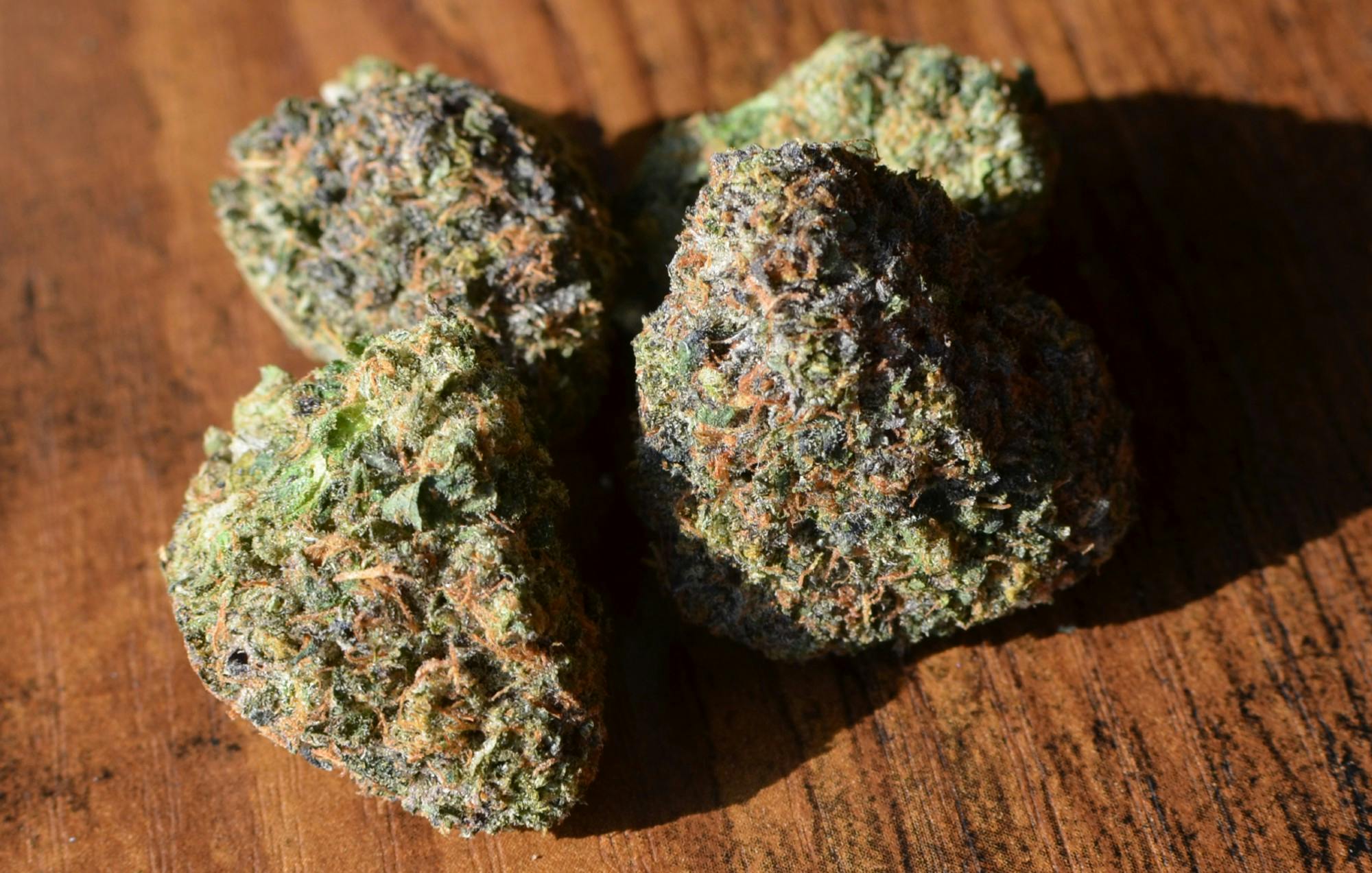 Pink Buffalo—The Bakerie, CA, summer 2023 image