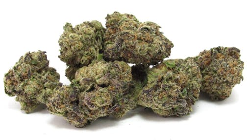 A collection of small, purple and green buds of Purple City Genetics' Pinnacle. (David Downs/Leafly)