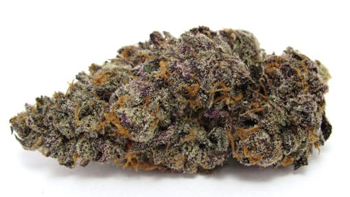 A horizontal macro bug image of a pretty purple bud called Compound Genetics' Tigerz Eye. (David Downs/Leafly)