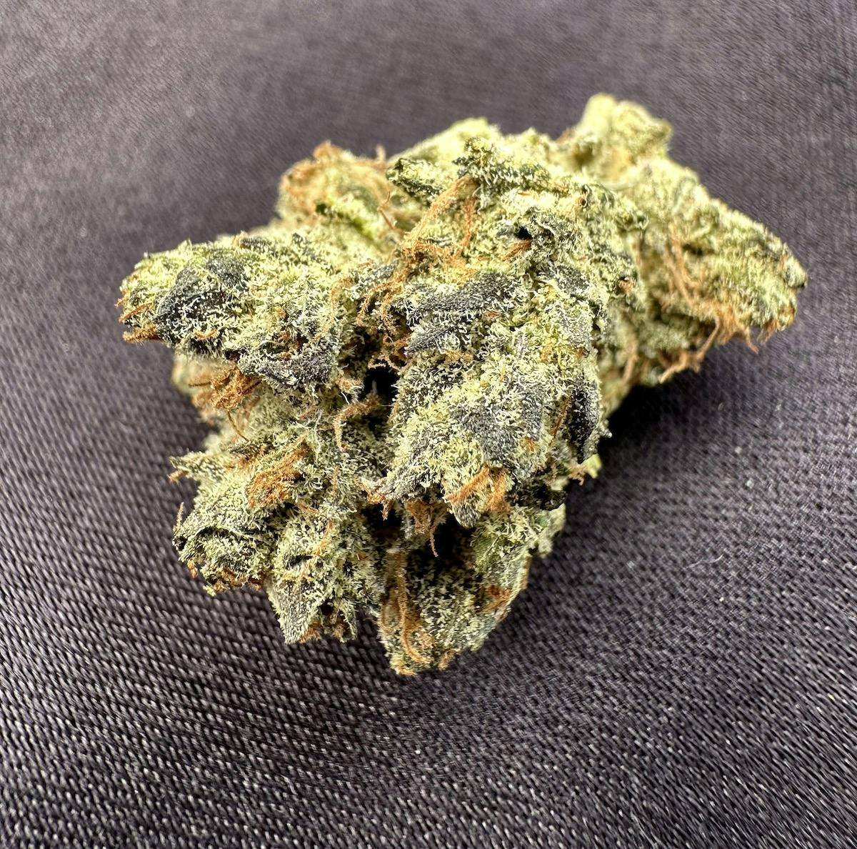 Orange Bellini—Maven Genetics, CA, fall 2023 image