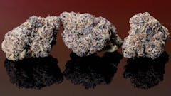 three nugs on a rust brown colored table. the nugs appear very dense, and covered in so many white hairs they appear silver. they are also shot through with purple, dusty green and boast orange hairs