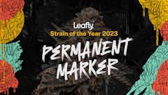 original art for horizontally-oriented announcement reading "Leafly Strain of the Year 2023 PERMANENT MARKER" with yellow, red and blue graffiti design on left and right edges
