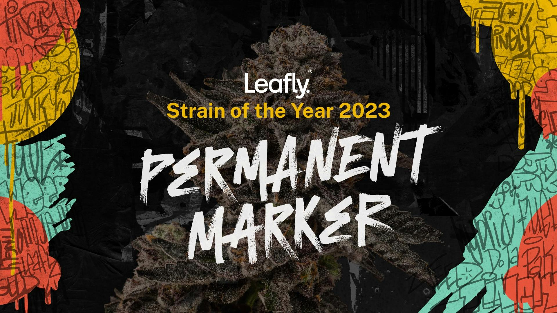 How we decide Leafly Strain of the Year 2023 image