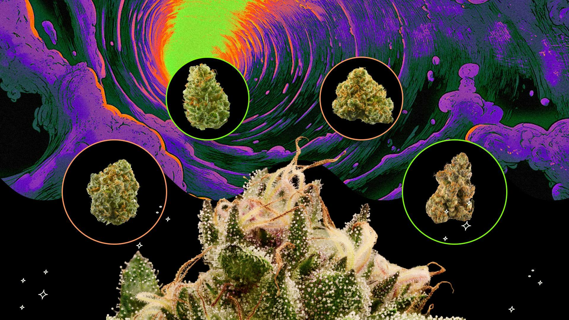 How we decide Leafly Strain of the Year image