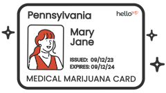 illustration of a mock MMJ card, for the state of Pennsylvania, for Mary Jane, featuring an illustration of a woman in the photo iwth red hair and a red and white dress