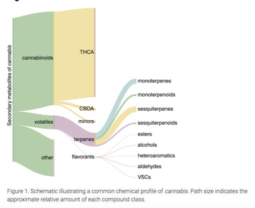 Terps aren't the whole story. (Courtesy of Abstrax)