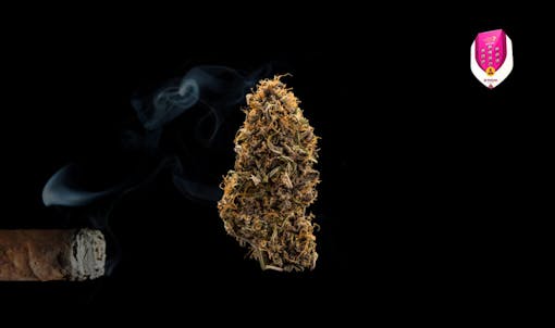 unique varieties from Royal Queen Seeds