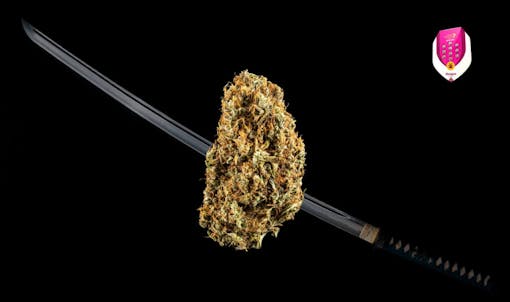 unique varieties from Royal Queen Seeds