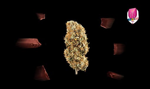 unique varieties from Royal Queen Seeds